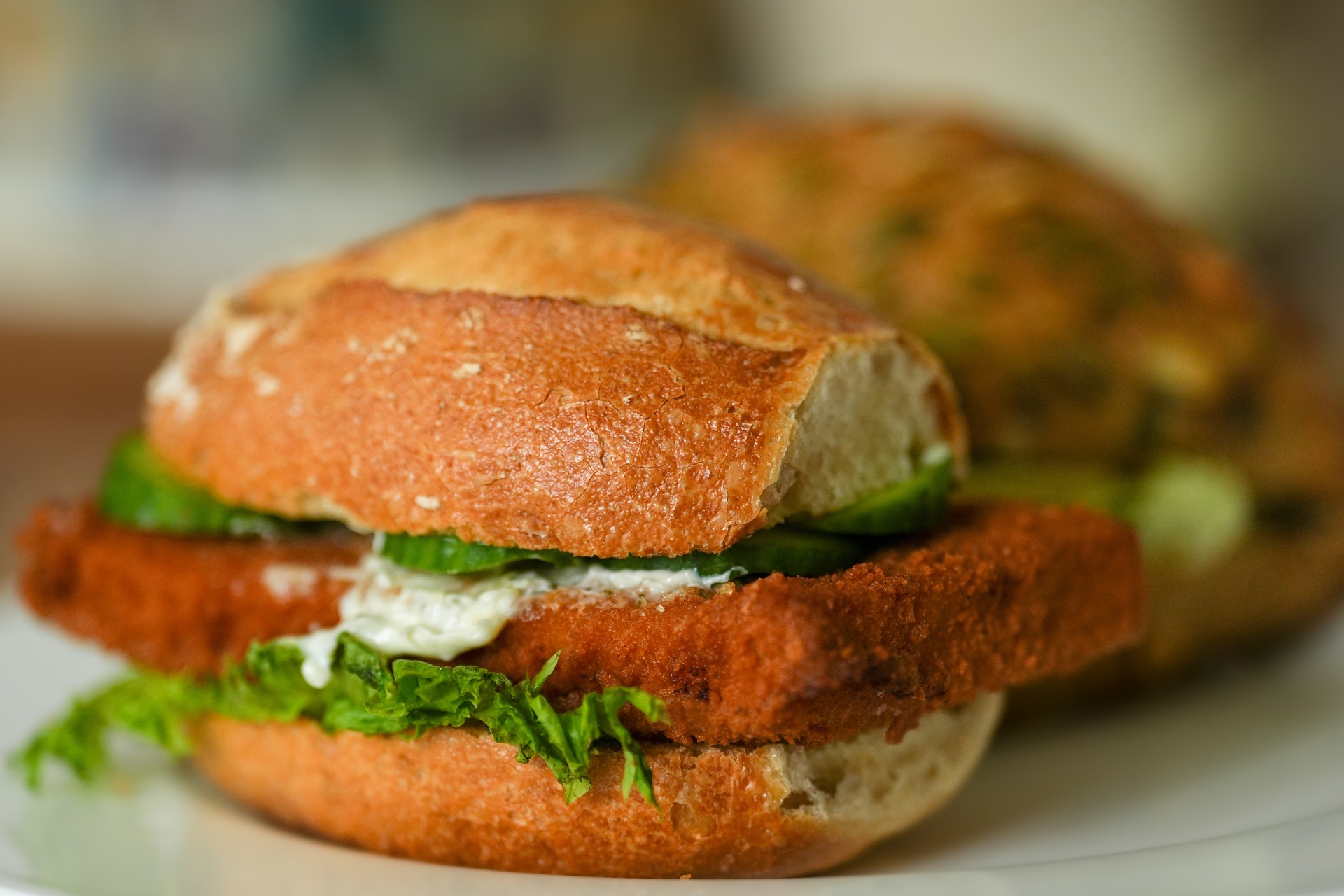 sandwich-g23fb33ed5_1920